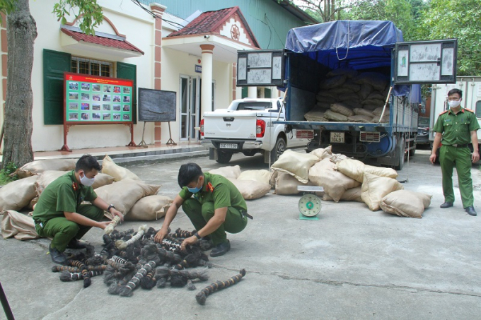 Lào Cai: Phát hiện, bắt giữ hơn 6 tấn lông gia súc không rõ nguồn gốc