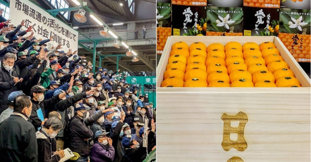 Choáng với thùng quýt Nhật Bản 20 kg được bán đấu giá hơn 200 triệu VND