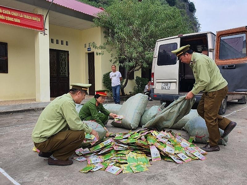 Lạng Sơn thu giữ trên 11.000 gói hạt giống rau, quả nhập lậu