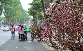 Chợ hoa Tết - điểm hẹn văn hóa ngày Tết của Hà Nội