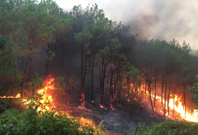 Cảnh báo nguy cơ cháy rừng tại các tỉnh Trung Bộ