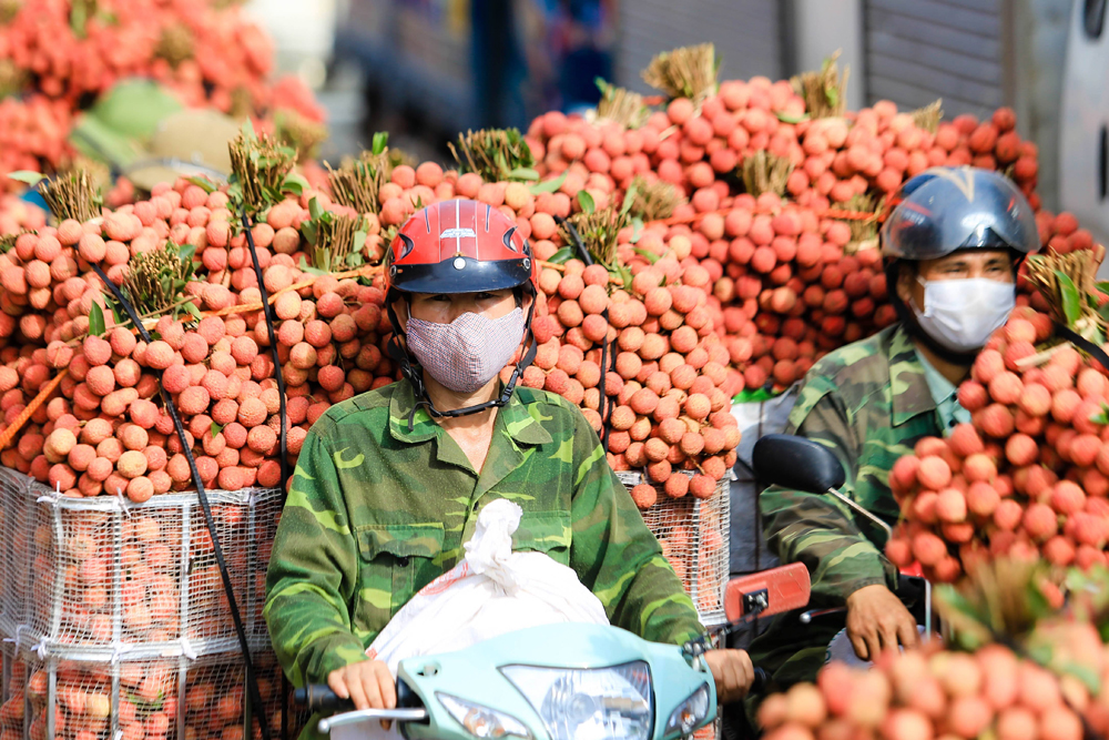 Bắc Giang: Vải thiều Lục Ngạn trong vùng giãn cách xã hội được tiêu thụ như thế nào?