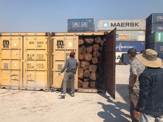 Điều tra vụ 50 container gỗ quý của Công ty Inbe Á Châu có dấu hiệu vi phạm