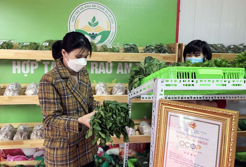 Hà Nội mở rộng điểm quảng bá sản phẩm OCOP tới các huyện ngoại thành