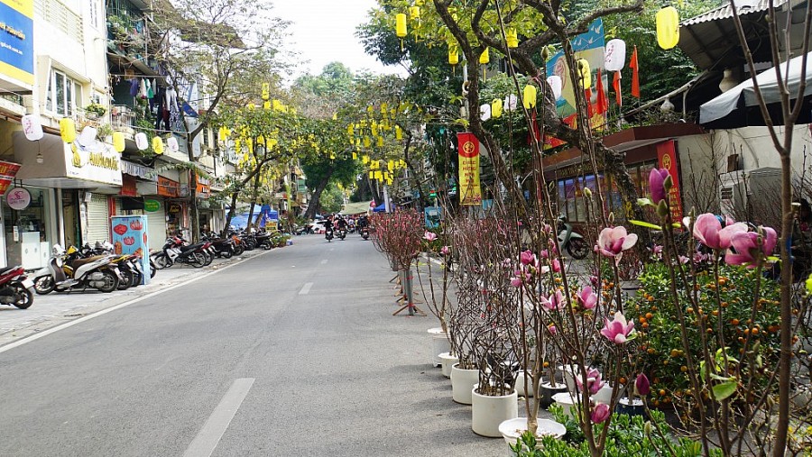 Quận Hoàn Kiếm (Hà Nội) tổ chức chợ hoa truyền thống Hàng Lược phục vụ người dân
