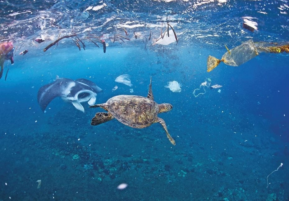 Hành động vì đại dương không rác thải nhựa