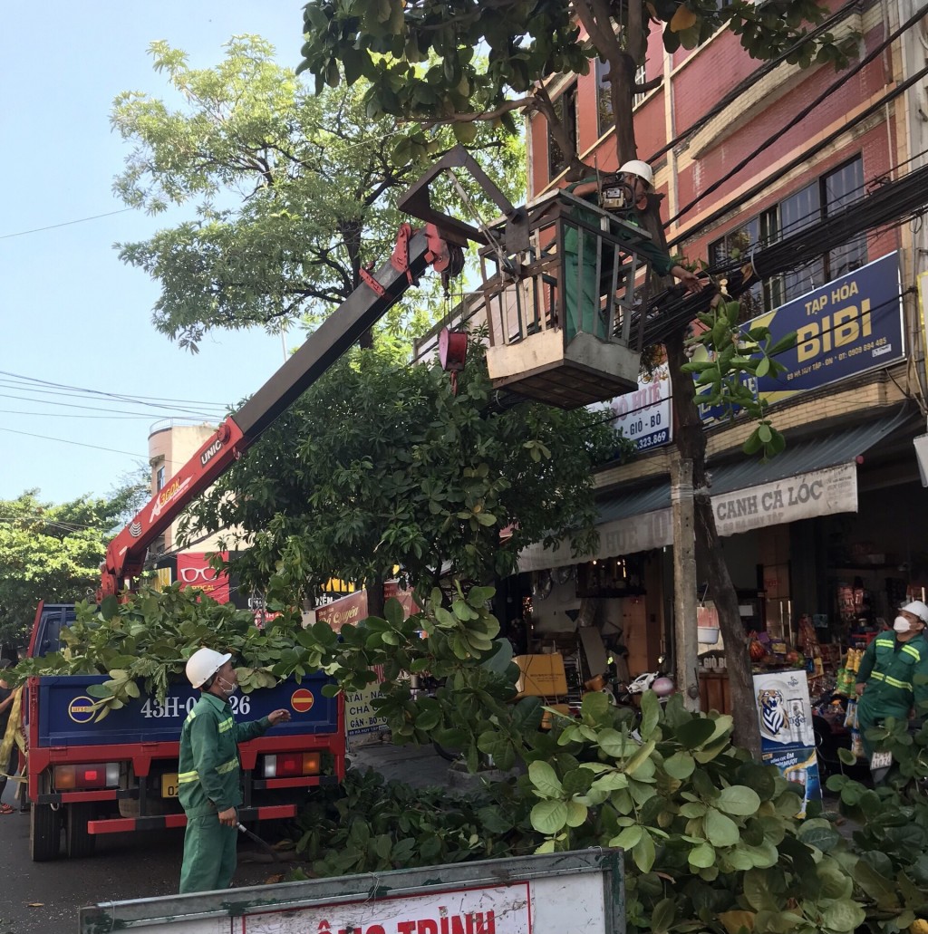 TP Đà Nẵng và tỉnh Quảng Nam khẩn trương triển khai ứng phó bão Noru