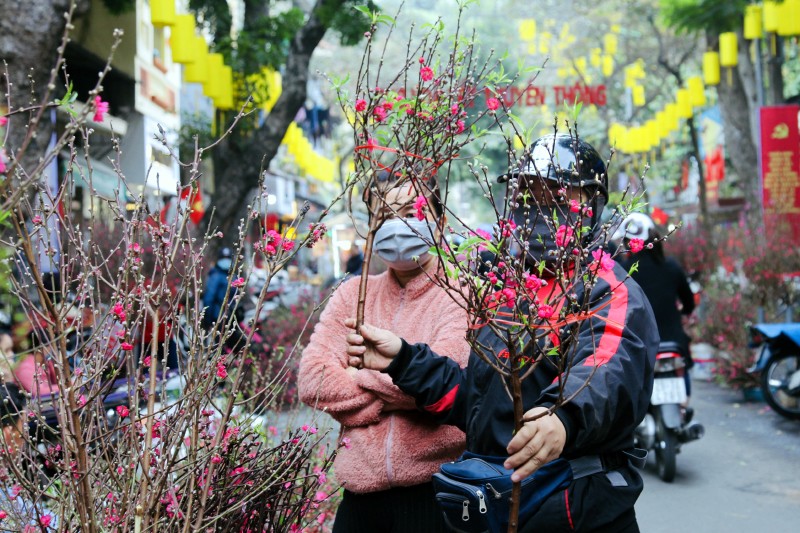 Hà Nội tổ chức 91 điểm chợ hoa xuân dịp Tết 2023