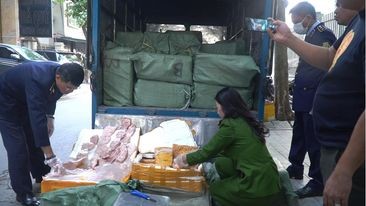 Hà Nội: Bắt quả tang xe tải chở 1,3 tấn nầm lợn, trứng non đông lạnh đang phân huỷ