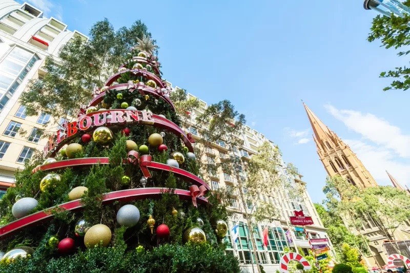 Giá cây thông Noel tăng vọt ở Australia