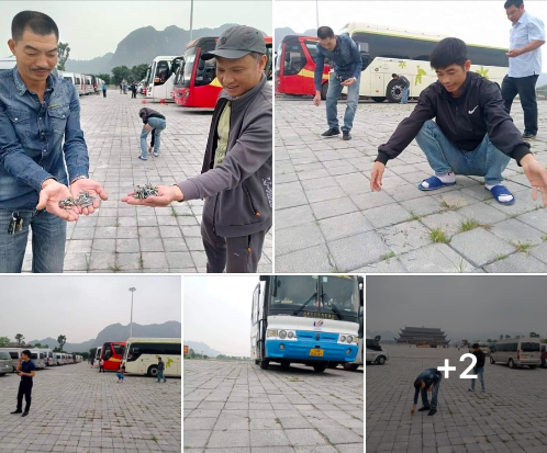 Công ty du lịch Tam Chúc lên tiếng về việc đinh vít xuất hiện tại bãi đỗ xe trong chùa Tam Chúc