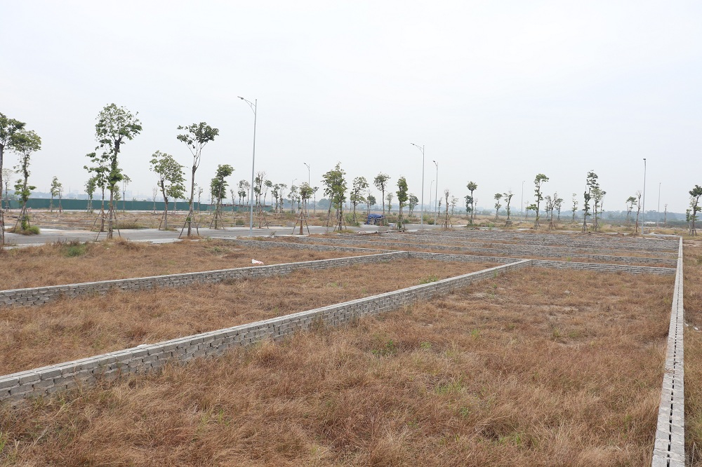 Hà Nội ngăn chặn tình trạng phân lô, bán nền đất nông nghiệp