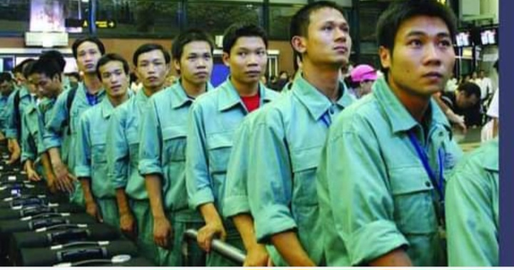 CTCP Nhân lực và Thương mại Vinaconex bị đình chỉ hoạt động đưa người lao động Việt Nam đi làm việc ở nước ngoài